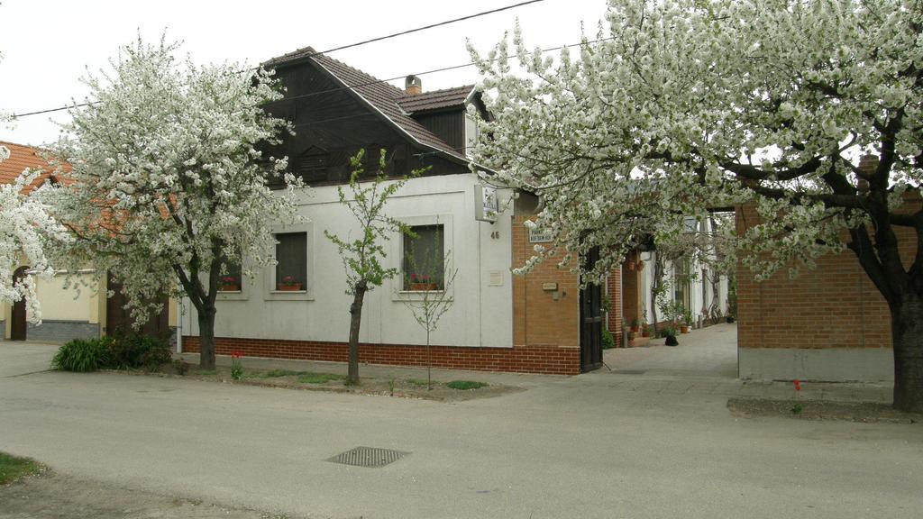 Marika Vendeghaz Hotel Szeged Exterior photo